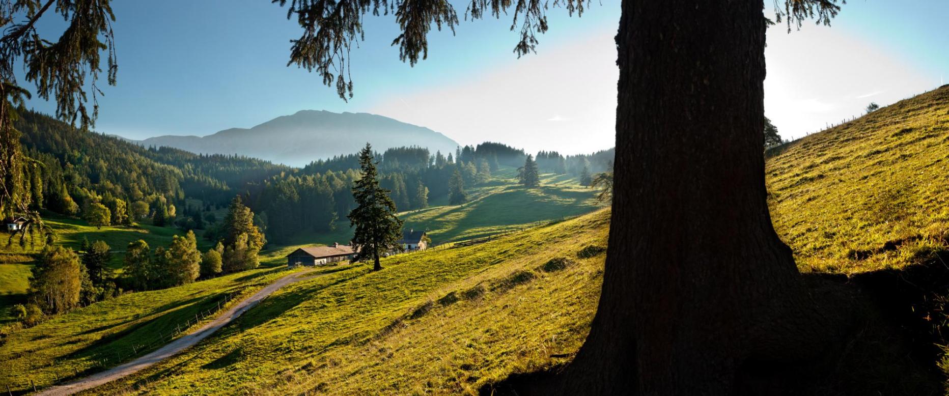 Am Schönsten Groß Oder Klein freizeit.at