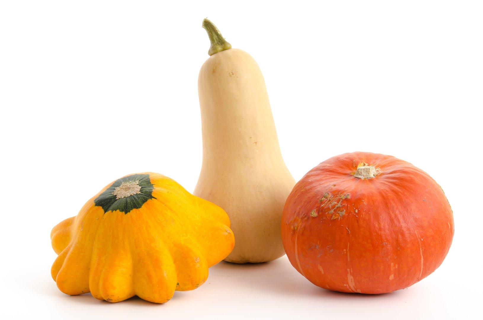 KürbisSaison Was das Gewächs kann und drei Rezepte