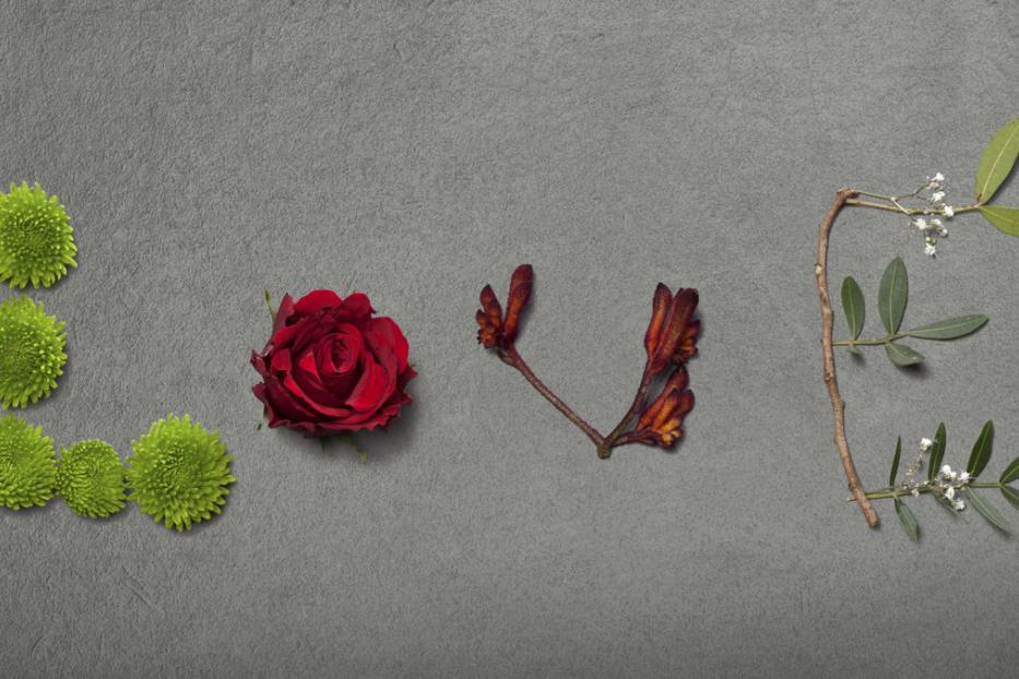 Blumen und Zweige formen das Wort „Liebe“ auf grauem Grund.