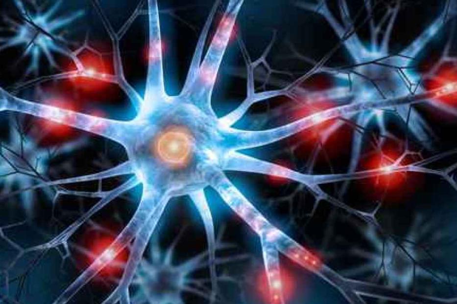 Eine schematische Darstellung von Neuronen mit roten und blauen Lichteffekten.