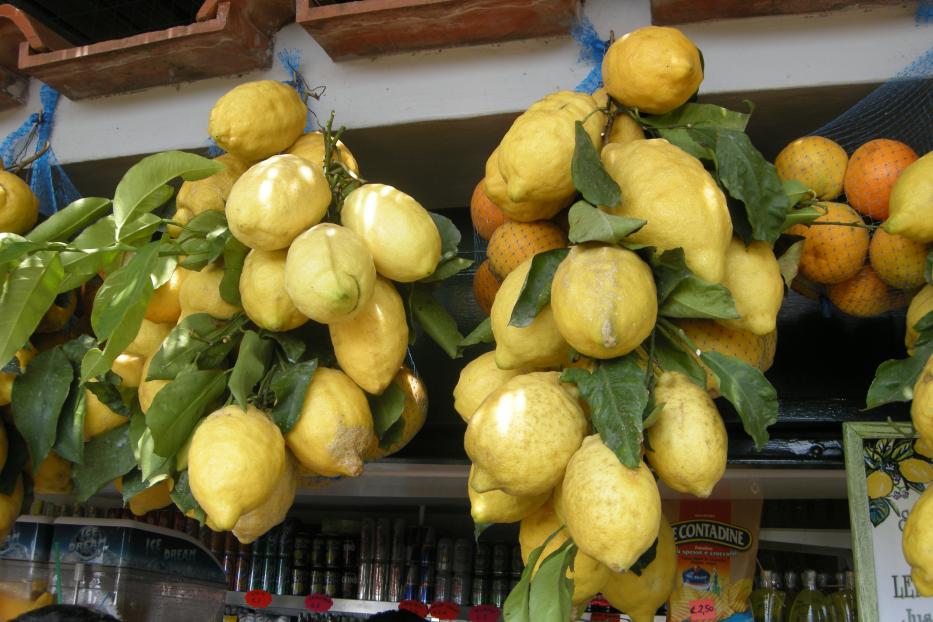Zwei Bündel Zitronen hängen vor einem Verkaufsstand mit Getränken und Snacks.