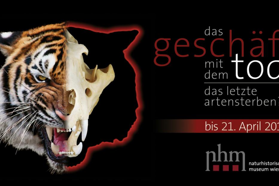 Ein Tigerkopf ist zur Hälfte als Schädel dargestellt, Werbung für eine Ausstellung im Naturhistorischen Museum Wien.