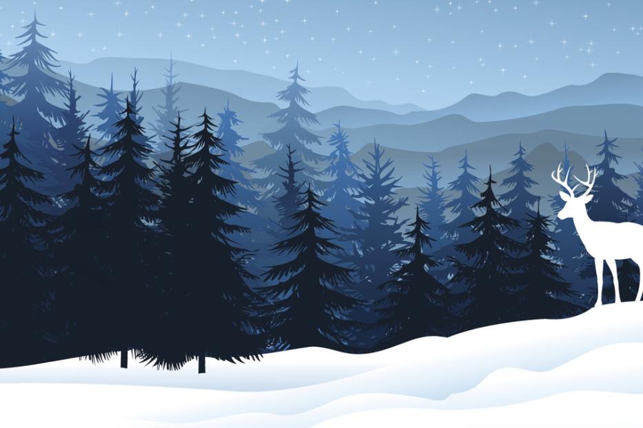 Ein weißer Hirsch steht im Schnee vor einem dunklen Wald.