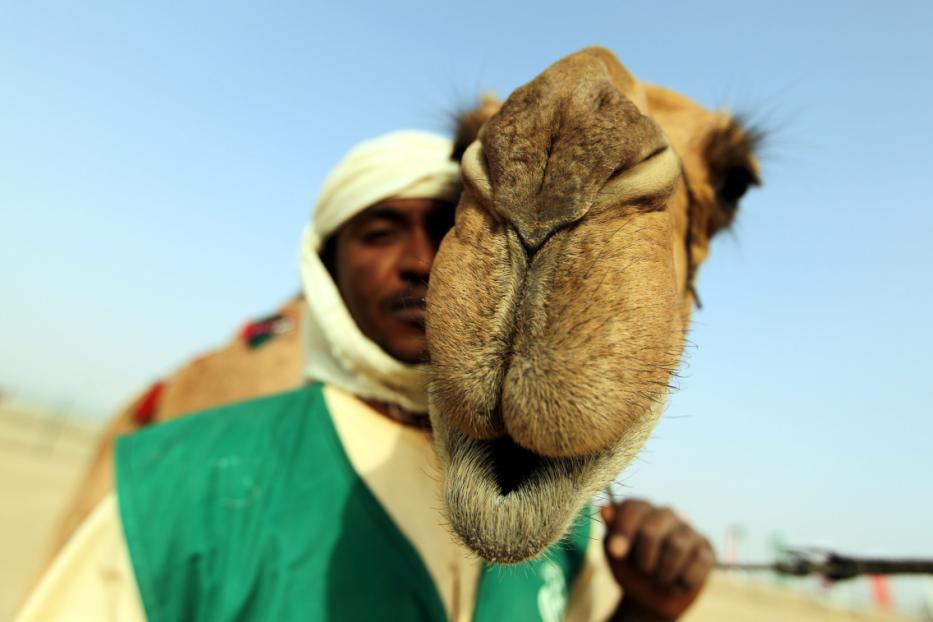 Ein Mann mit traditioneller Kopfbedeckung steht neben einem Kamel.