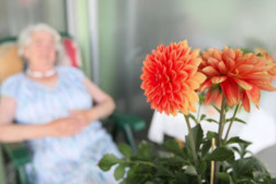 Eine ältere Frau ruht sich in einem Sessel aus, während orangefarbene Dahlien im Vordergrund stehen.