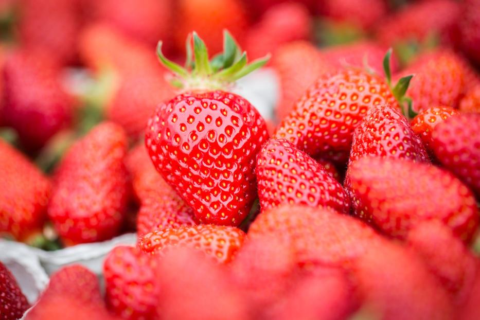 ERDBEEREN Da Erdbeeren nur zwei bis drei Tage im Kühlschrank halten, sind sie Kandidaten zum Einfrieren. Damit sie die Form behalten, müssen sie auf einem Tablett platziert und kurz angefroren werden, danach können Sie in ein Sackerl gegeben werden.