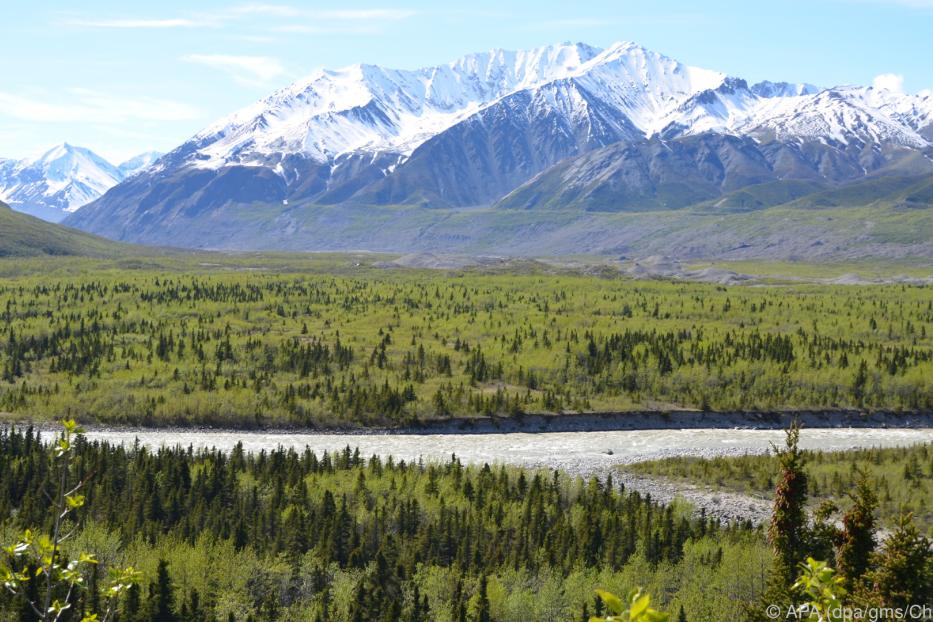 Alaska wird immer öfter auch von Kreuzfahrtschiffen angelaufen