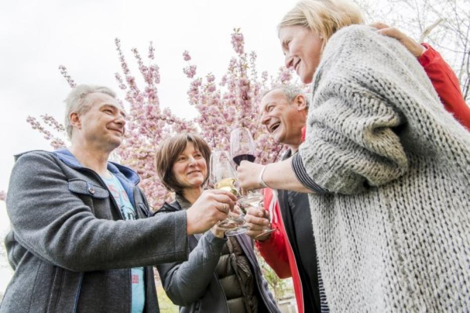 Eine Gruppe von Freunden stößt im Freien mit Wein vor einem blühenden Baum an.