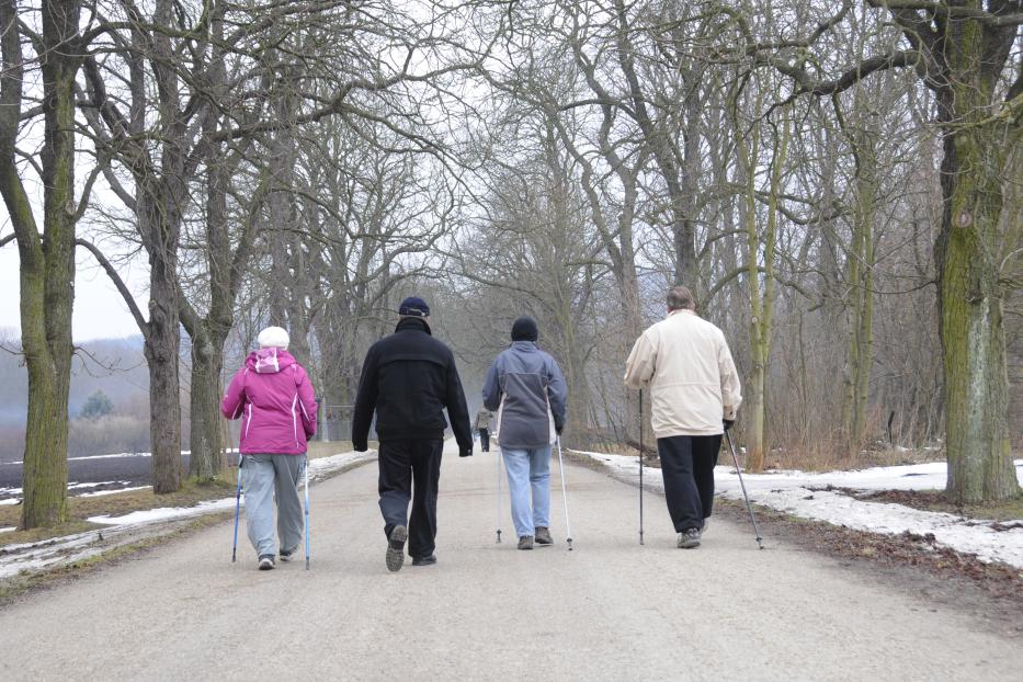 Eine Gruppe von vier Personen geht mit Wanderstöcken auf einem Weg entlang.