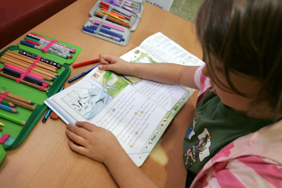 Ein Kind liest ein Schulbuch mit einer Illustration von Pinguinen.