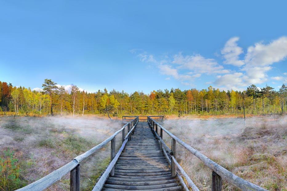 Heidenreichsteiner Moor