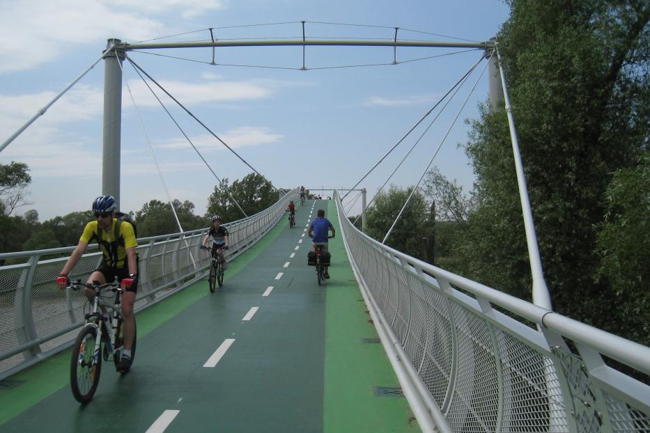 Mehrere Radfahrer überqueren eine grüne Brücke.