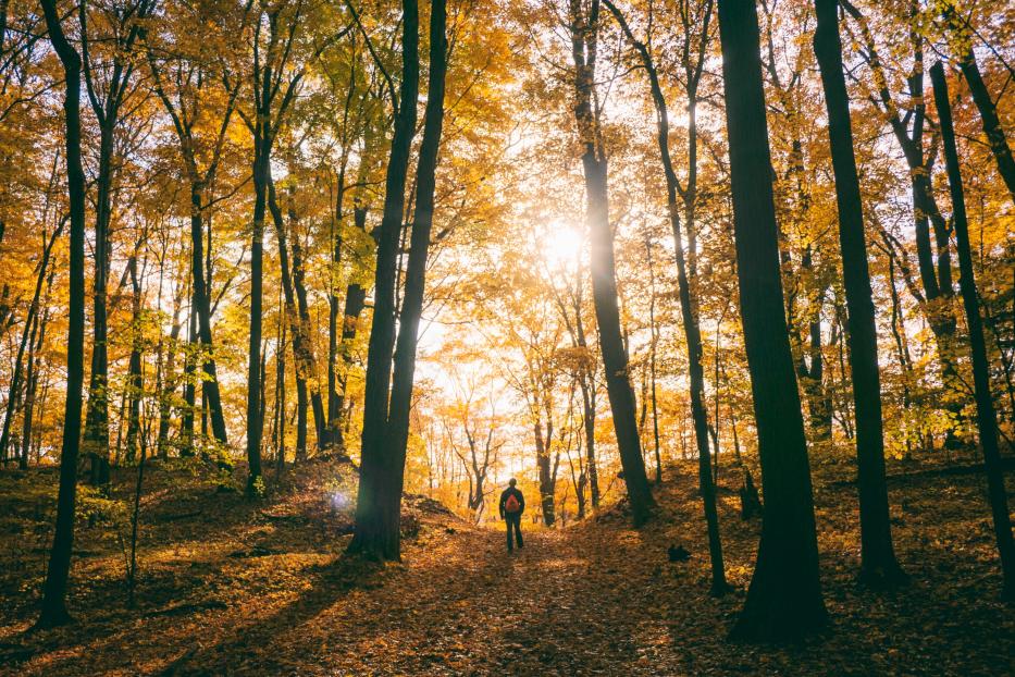 Lust auf ÖSterreich_Wandern im Herbst