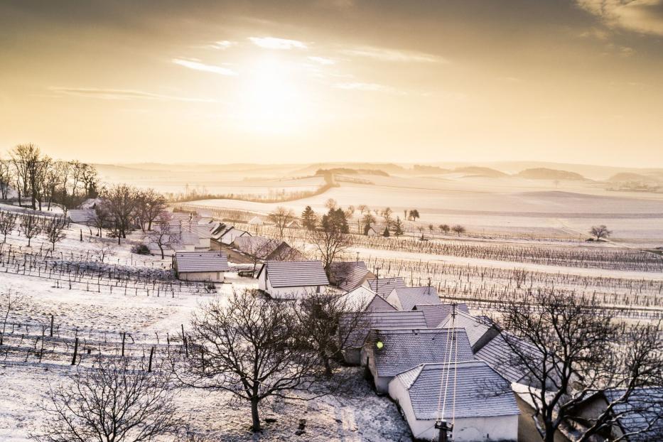 Weinviertel Kellergasse Winter Wildendürnbach