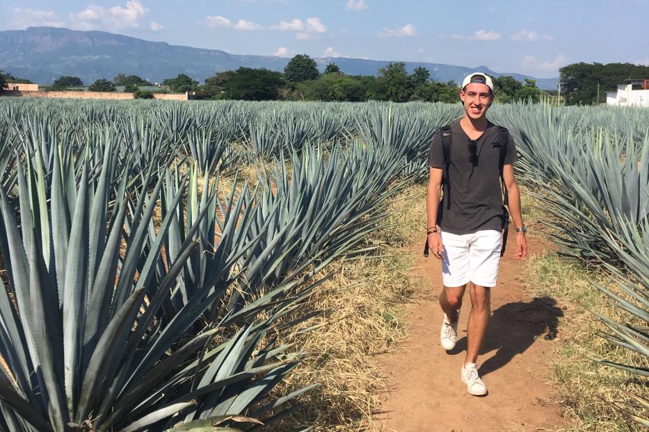 Florian Springer auf einem mexikanischen Agaven-Feld