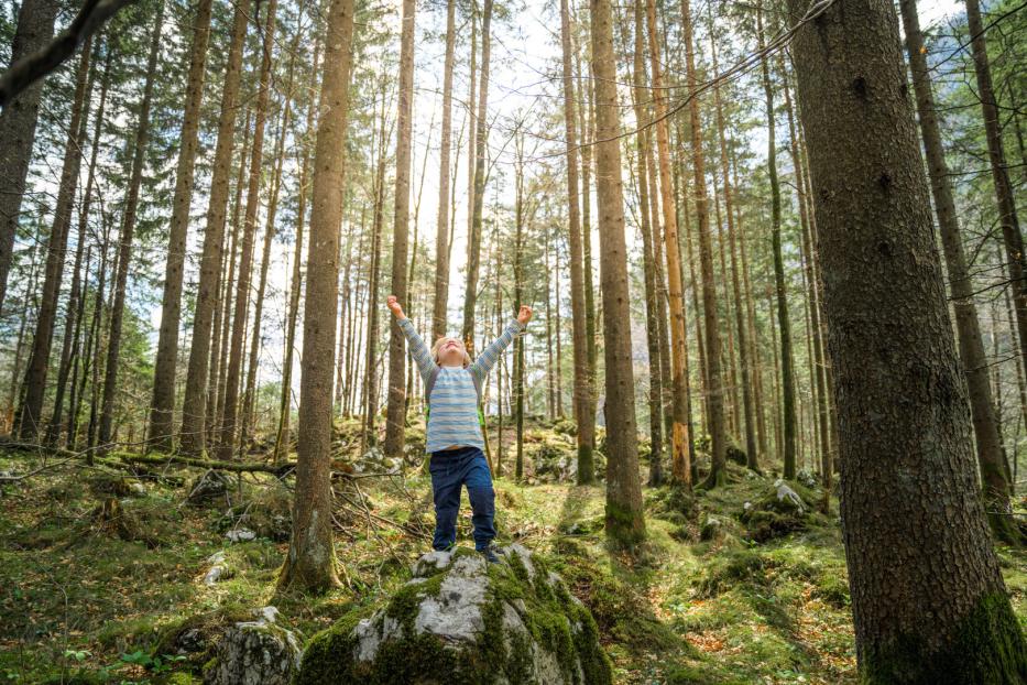 Heilsames Grün: Die Natur kann ein echter Glücksbringer sein.