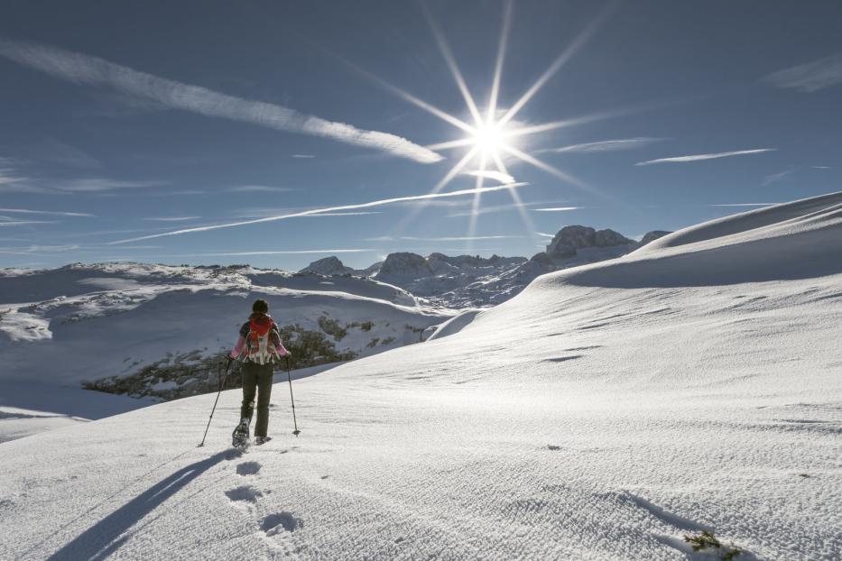 Ski Piste 