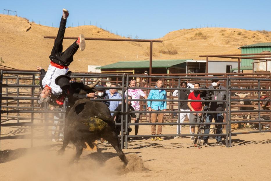 Johnny Knoxville ässt sich von einem Stier aufspießen: &quot;Jackass Forever&quot;