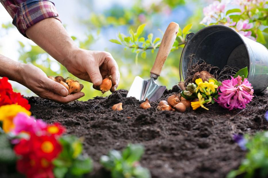 Blumenerde ohne Torf