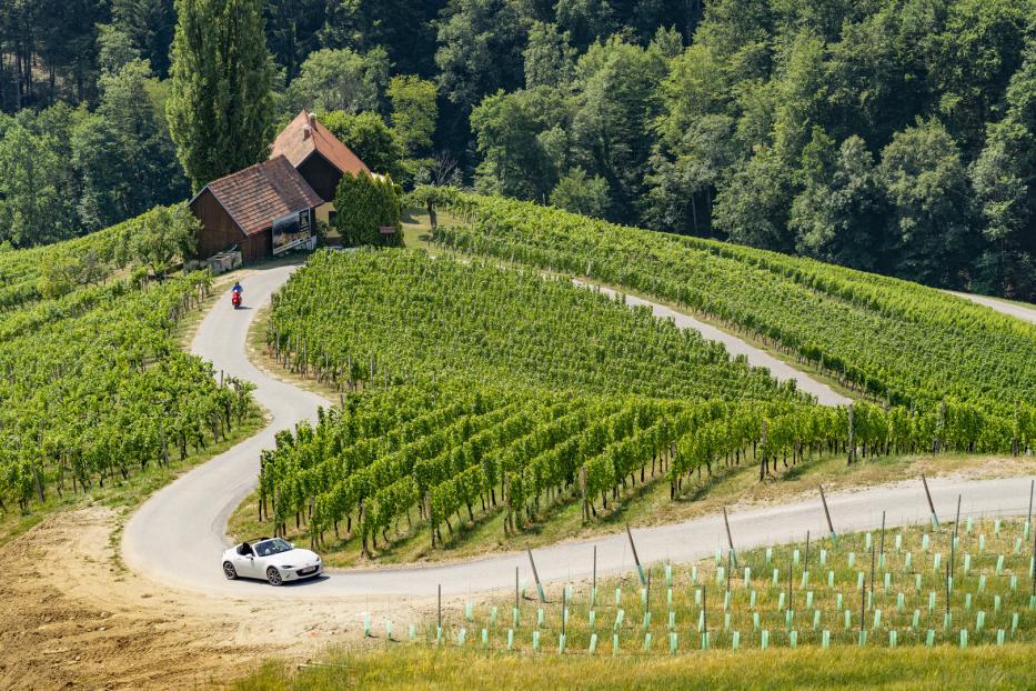 Kurvenswing mit dem Mazda MX-5 auf der Herzerlstraße; der Ursprung des Namens erklärt sich aus dieser Perspektive