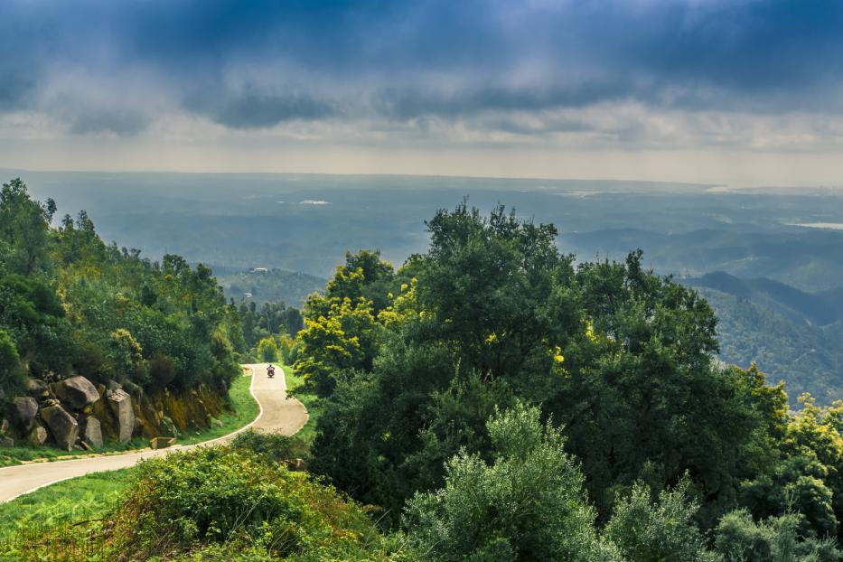 Eine andere Seite von Portugal: dichte Wälder und Einsamkeit im Hinterland der Atlantikküste