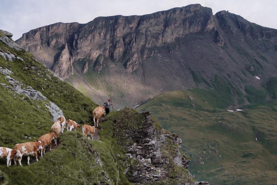 &quot;Alpenland&quot; von Robert Schabus