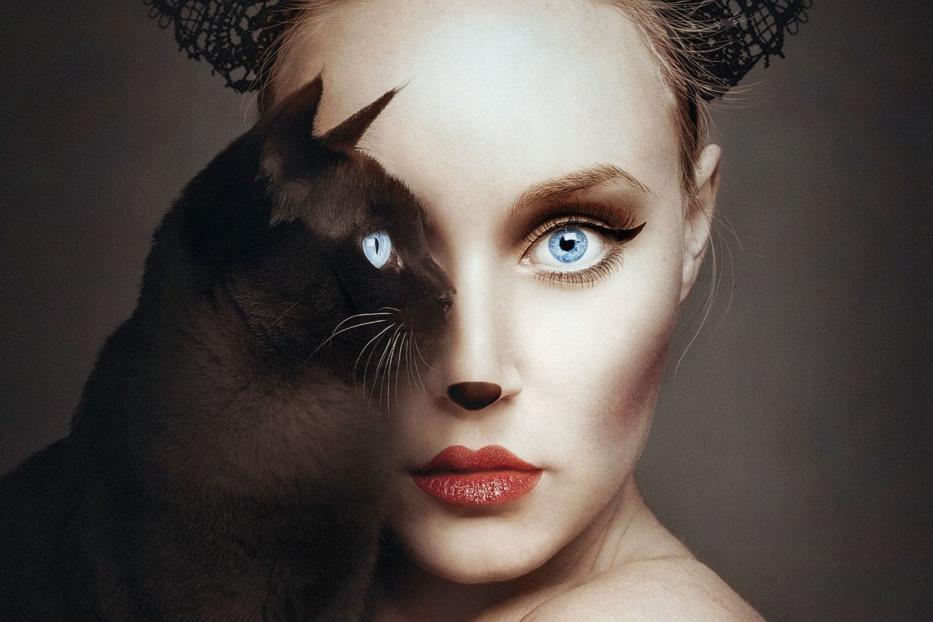 Eine Frau mit Katzenohren und Katzennase posiert mit einer Siamkatze.