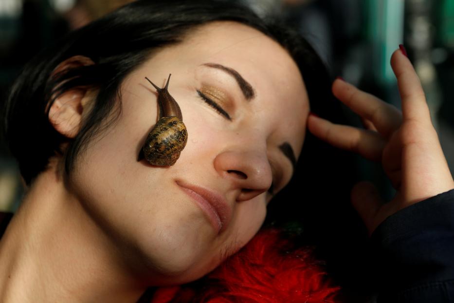 A woman poses for a picture with a snail crawling on her face at a snail farm in Stavropol region