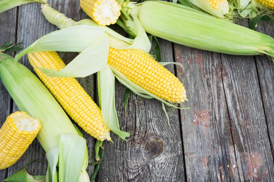 Fresh Corn on wooden table