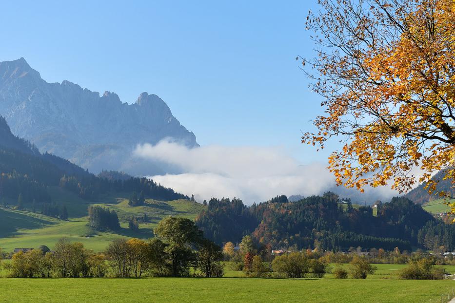 Herbstliche Landschaft in St. Johann in Tirol