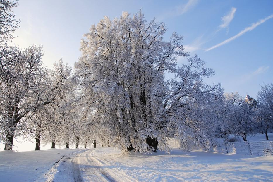 Eintauchen in die Winteridylle – auf präparierten Wanderwegen gelingt das auf jeden Fall.