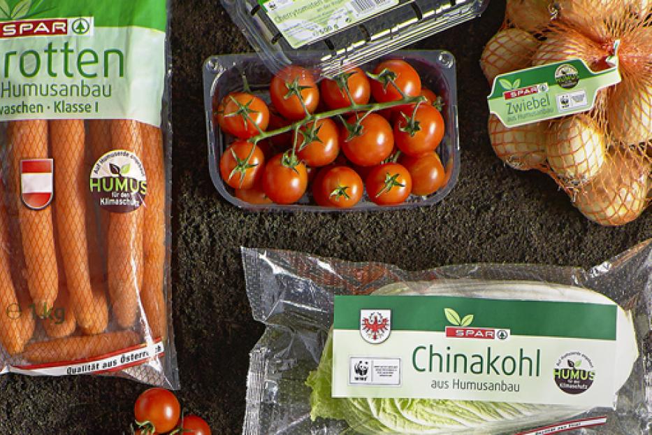 Verschiedene Gemüsesorten wie Karotten, Tomaten, Zwiebeln und Chinakohl liegen auf Erde.