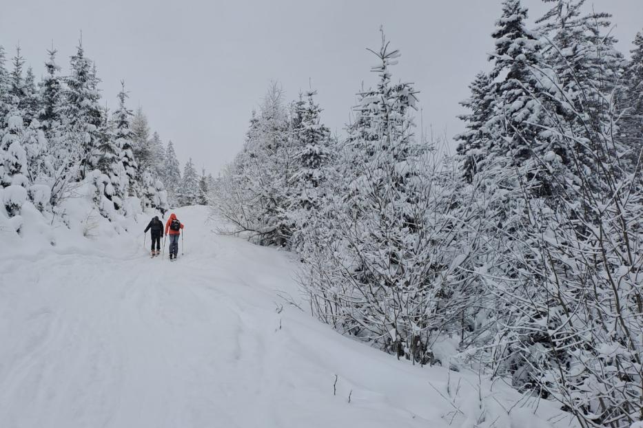 Den frisch verschneiten Rodelweg hinauf zur Kleinarler Hütte