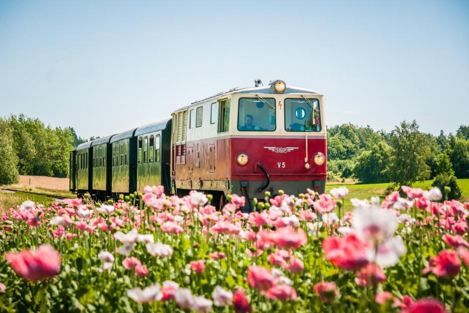 Die Diesel-Nostalgiegarnitur der Waldviertelbahn