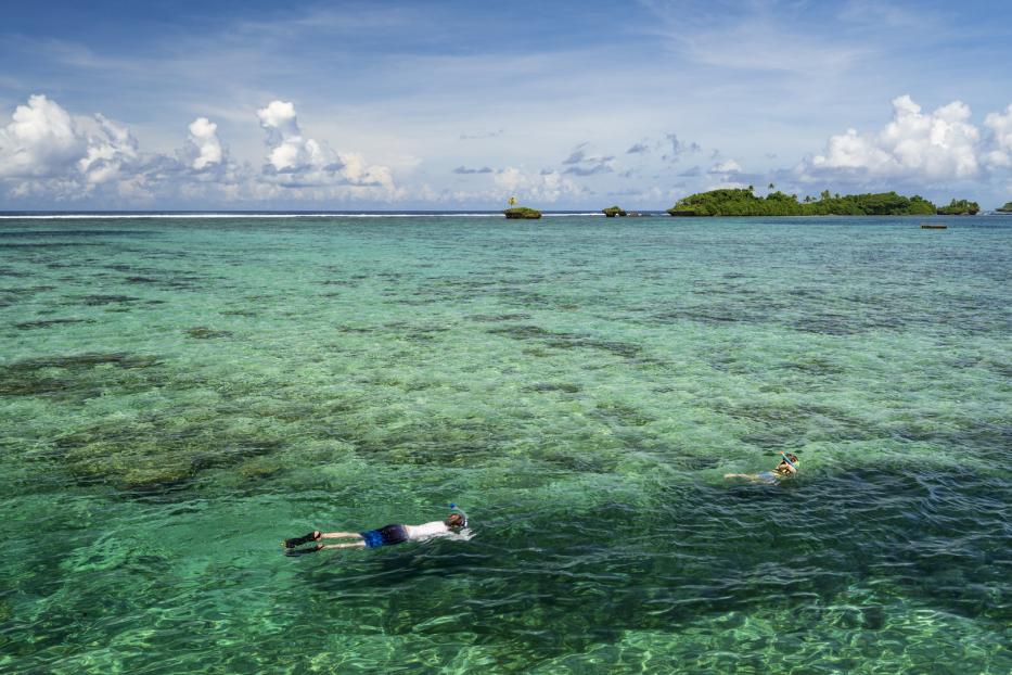 Im Korallenriff schnorcheln vor der Fidschi-Insel Vanua Levu.