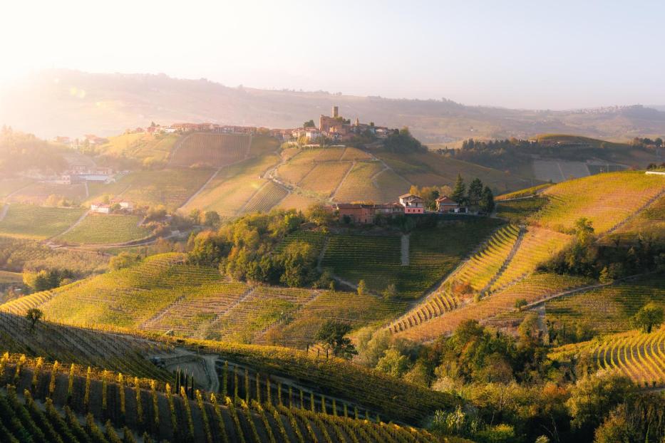 Autumn in Langhe Region, Piedmont, Italy - Stock-Fotografie