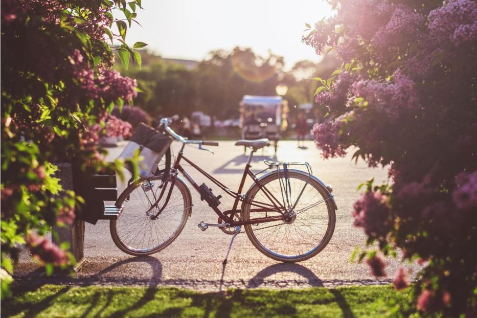 Bicycle at sunset. - Stock-Fotografie