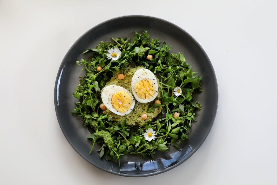 Ein Teller mit zwei halbierten Eiern auf einem Bett aus Grünzeug und Kichererbsen, garniert mit Gänseblümchen.