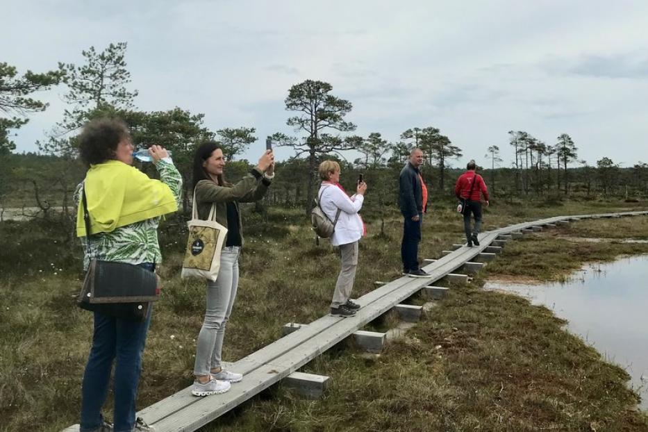 Im Hochmoor Kakerdaja