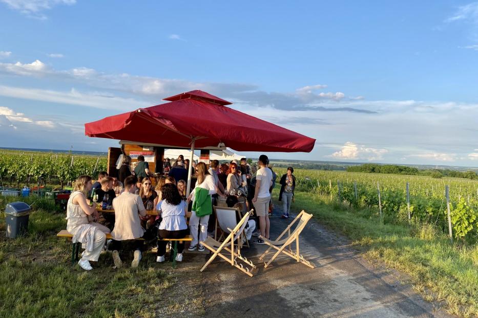 Auf dem Lutzmannsburger Hochplateau wird in den Weinrieden die anstehende Blüte festlich gefeiert