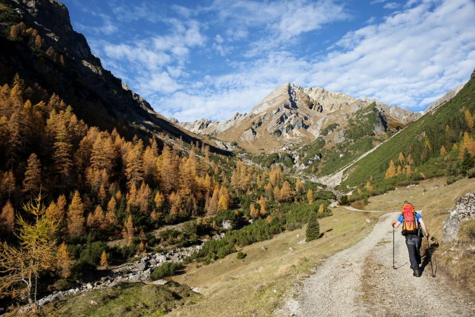 Enzian wird im Sommer auf dem Salzburger Almenweg gepflückt und im Herbst als „Schnapserl“ serviert