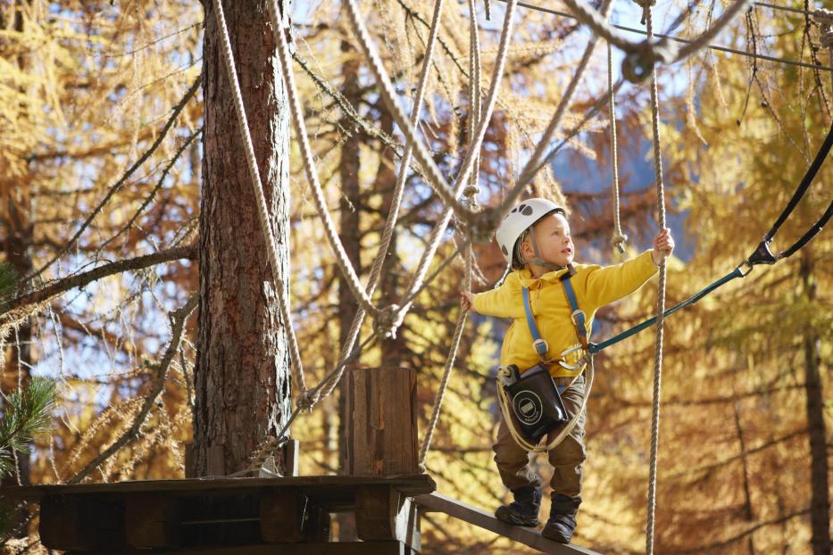 Junge im Baum, klettert