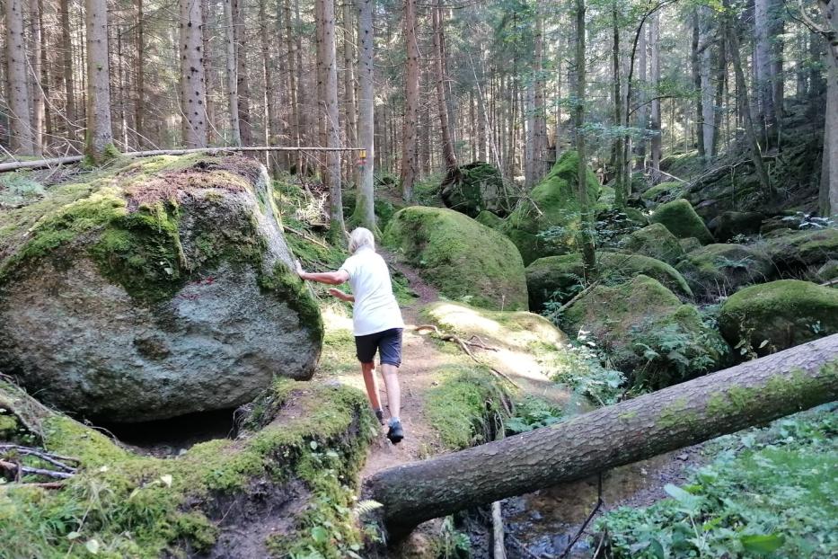 Zwischen Bächlein und Steinen in der Weißenbachklamm