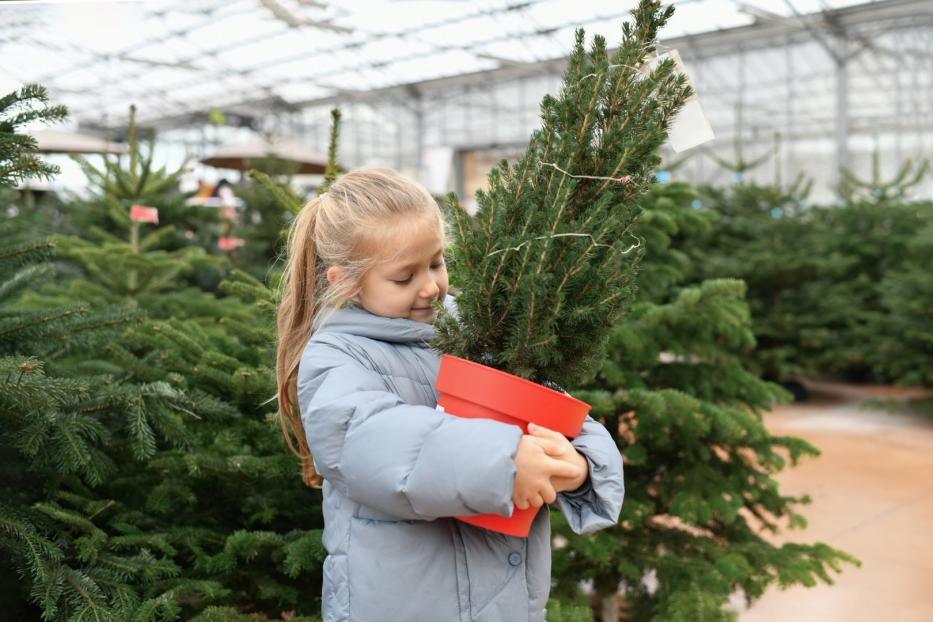 Kind mit Weihnachtsbaum im Topf