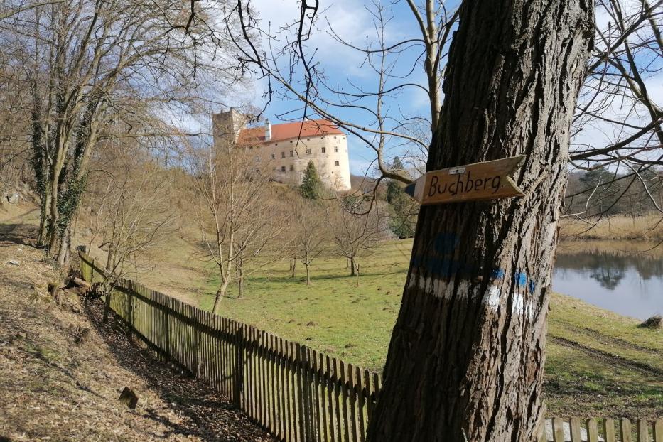 Schloss Buchberg am Kamp, im Vordergrund Wiesen, Bäume und ein Teich