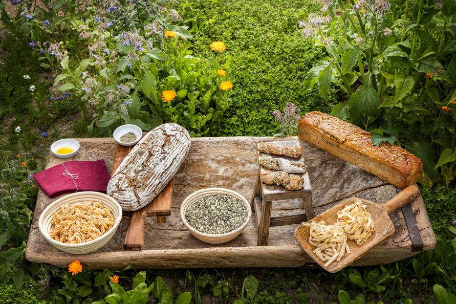 Brot, Gebäck Nudeln und Getreide auf Holzbrettern in einem grünen Garten 