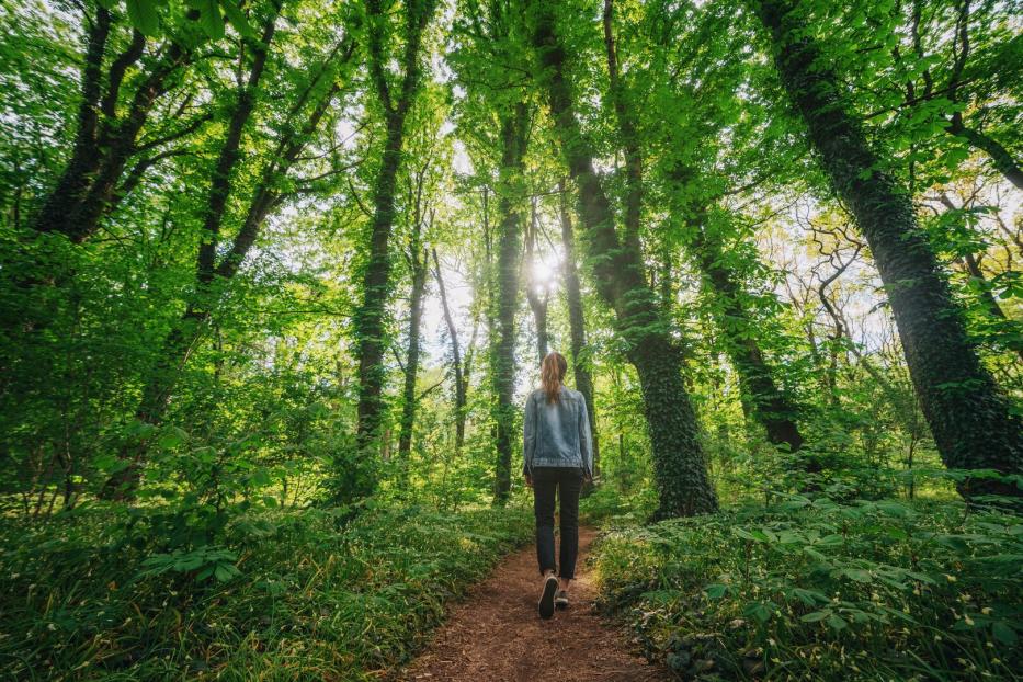 Ein Spaziergang in der Natur