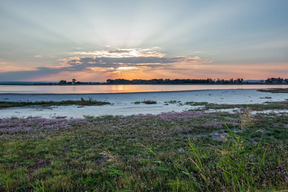 Nationalpark Neusiedler See 