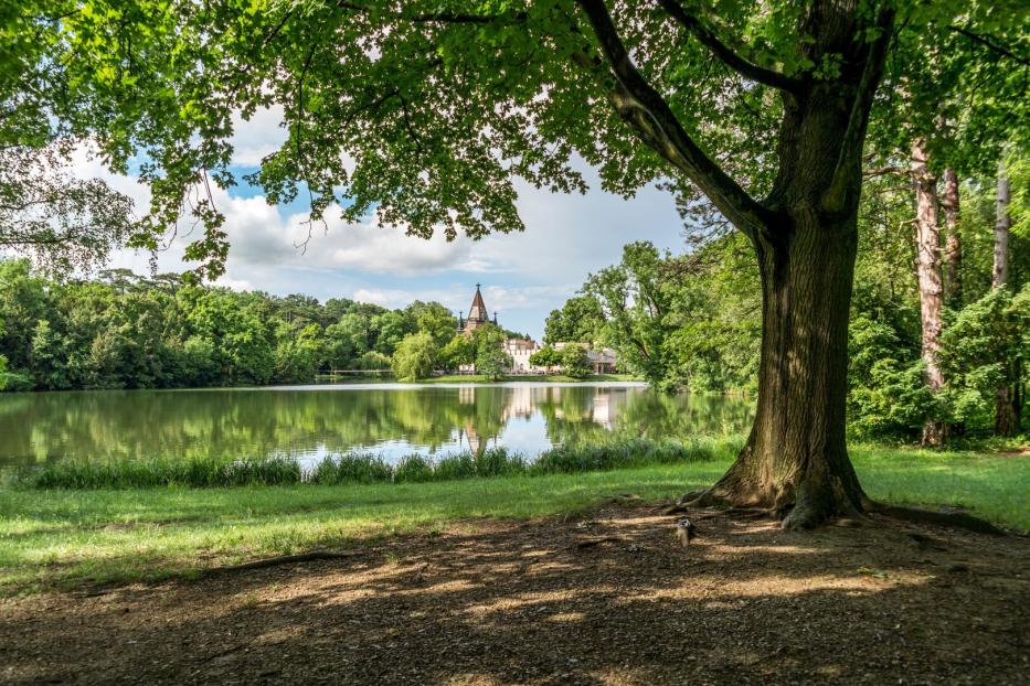 20 Hektar groß ist der künstlich angelegte Schlossteich