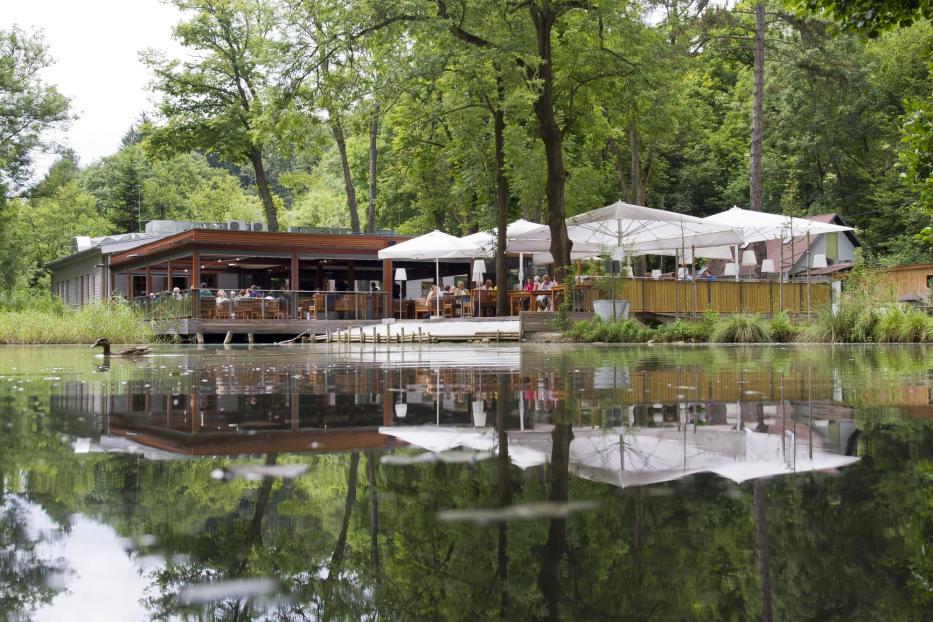 Restaurant Klee am Hanslteich  direkt am Wasser 